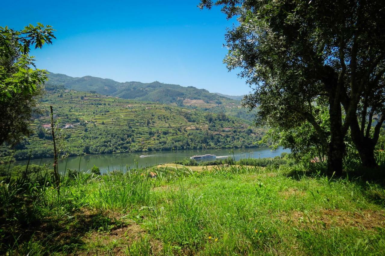 Casa Da Mouta - Douro Valley Baião Exteriör bild