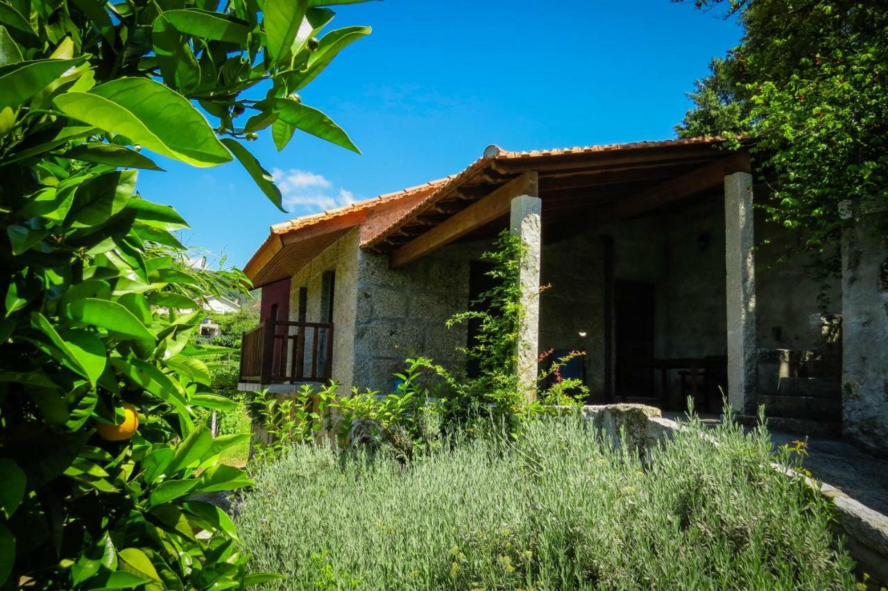 Casa Da Mouta - Douro Valley Baião Exteriör bild