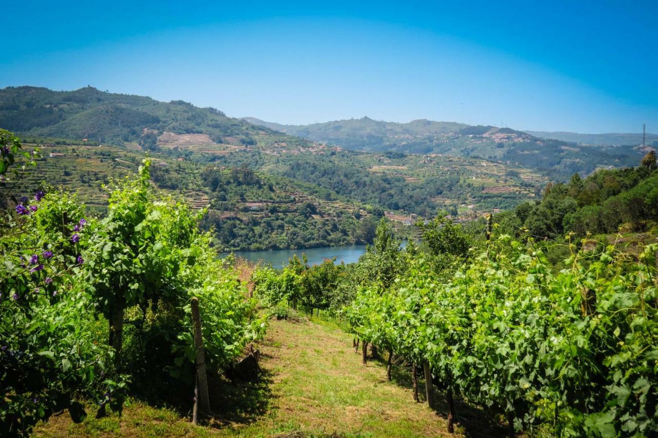 Casa Da Mouta - Douro Valley Baião Exteriör bild