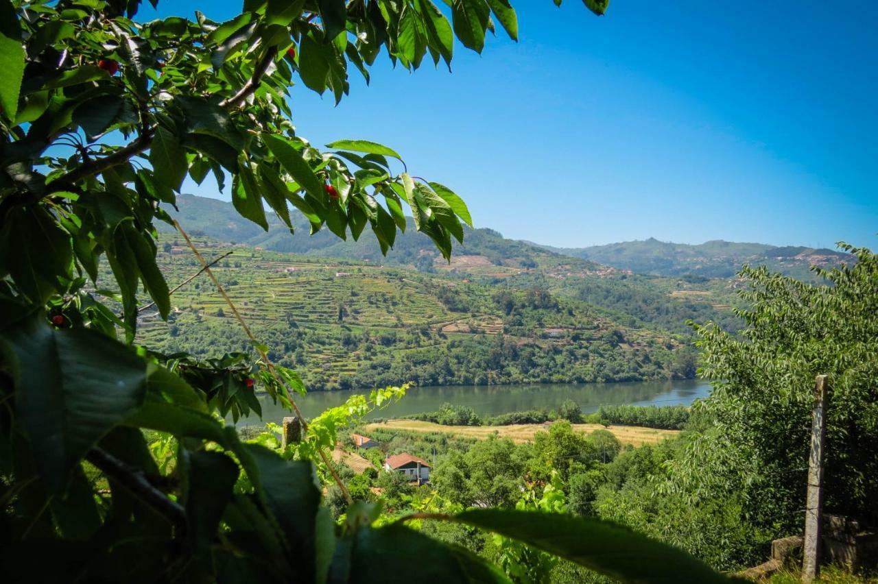 Casa Da Mouta - Douro Valley Baião Exteriör bild