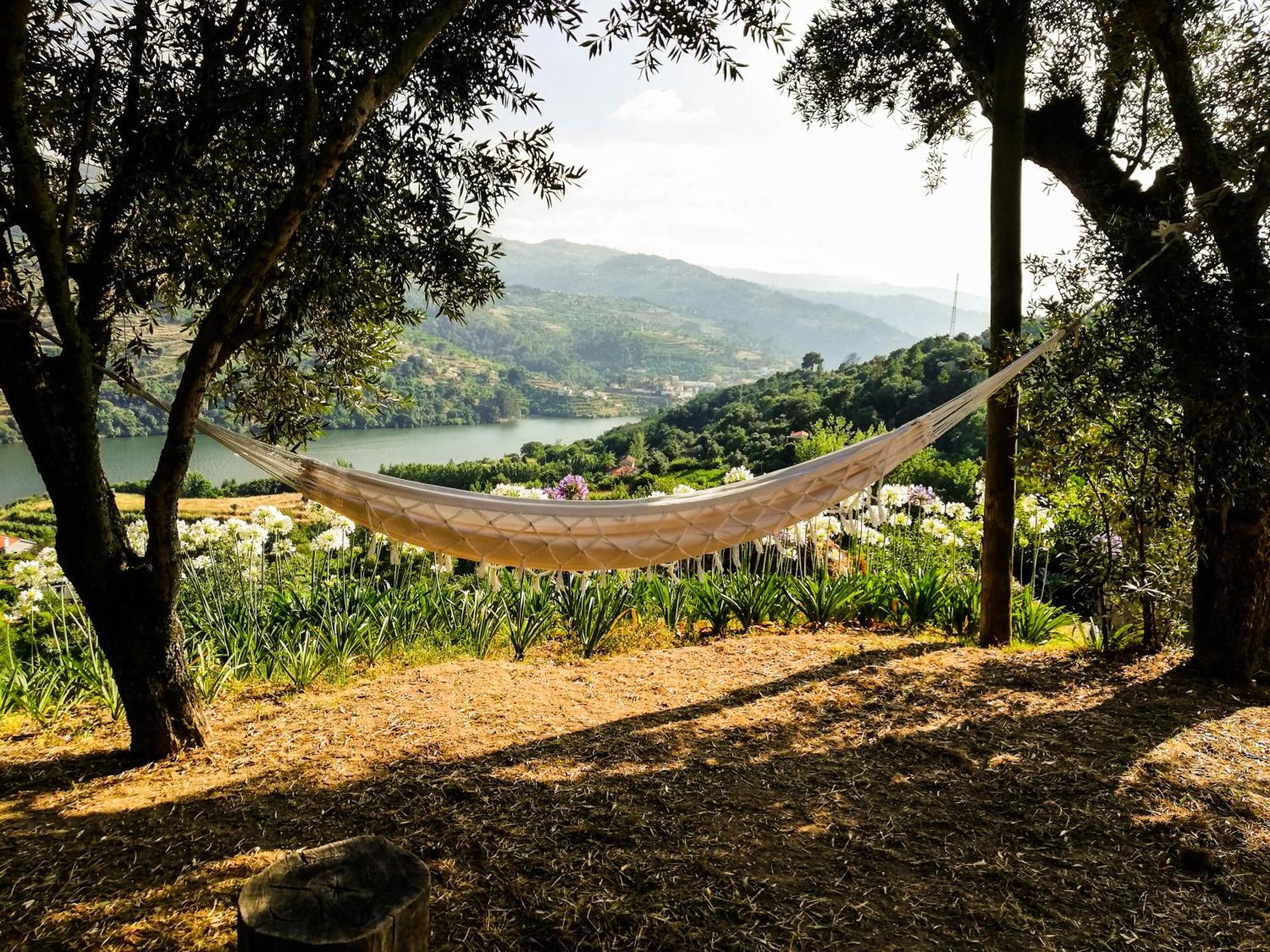 Casa Da Mouta - Douro Valley Baião Exteriör bild