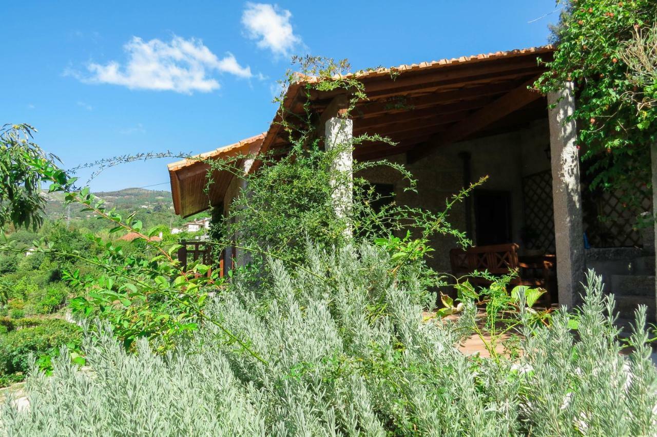 Casa Da Mouta - Douro Valley Baião Exteriör bild
